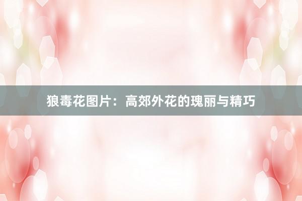 狼毒花图片：高郊外花的瑰丽与精巧