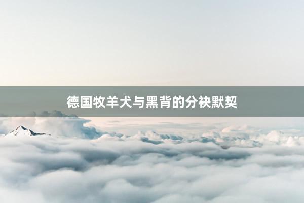 德国牧羊犬与黑背的分袂默契