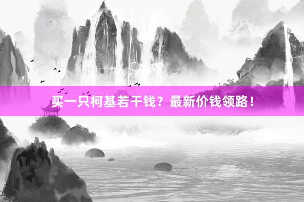 买一只柯基若干钱?最新价钱领路!