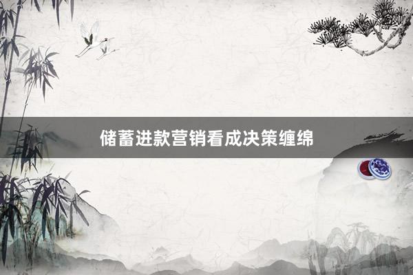 储蓄进款营销看成决策缠绵